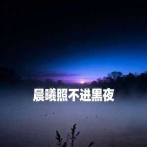 晨曦照不进黑夜