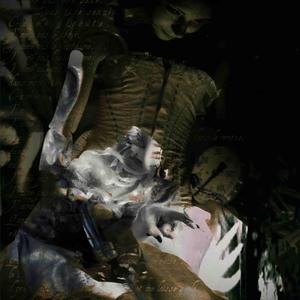 rotten heart (feat. withdrawn)