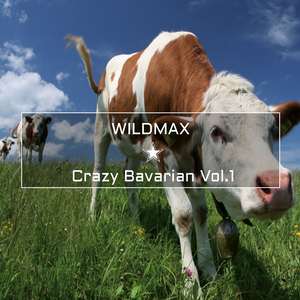 Modern Bavarian Love