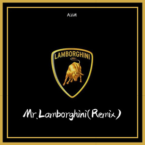 【Free】Mr.lamborghini—Remix beat