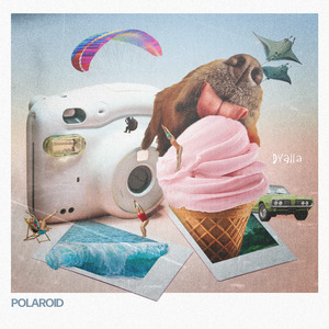 Polaroid