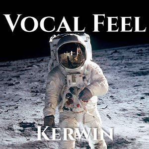 Vocal Feel