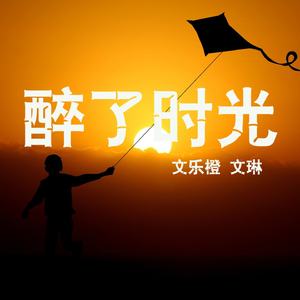 醉了时光