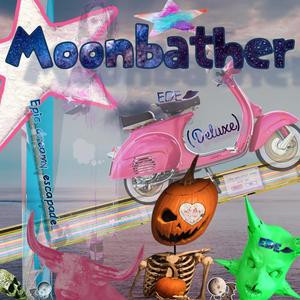 A night under the stars