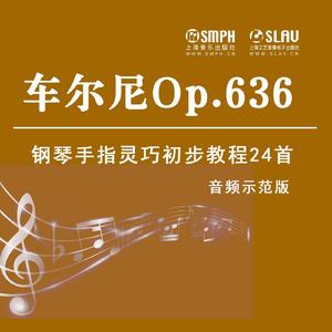 左手平稳手型的手指均匀练习