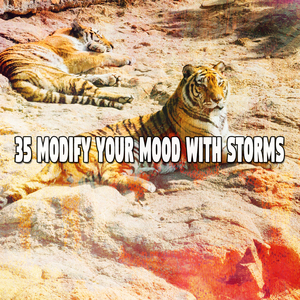 暴風雨前的平靜