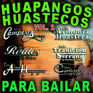 La Vara de Mi Violin