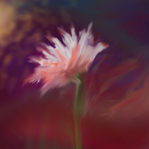 Gerbera (feat. 初音ミク)