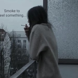 请你原谅我的过错