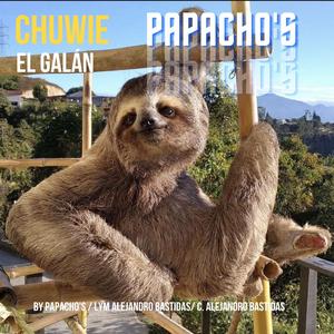 Chuwie el Galán (feat. Alejandro Bastidas)