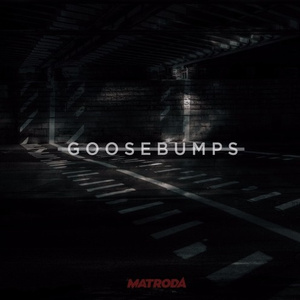 Goosebumbs (VIP Edit)