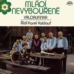 Mládí nevybouřené I. Směs refrénů