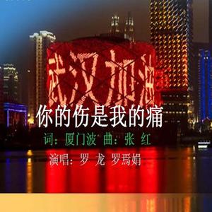 你的伤是我的痛