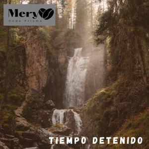 Tiempo Detenido