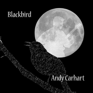 Blackbird
