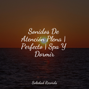 Sueños Lúcidos