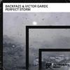 BackFaze - Perfect Storm