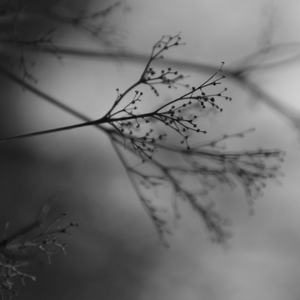 Broken Things Are The Glue of The World