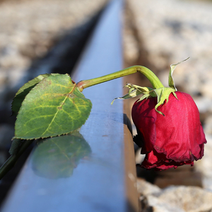 I Never Knew (feat. Teodora Gosheva)