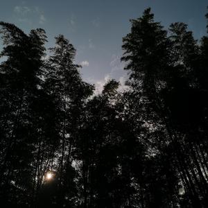 怕兜里没钱和你无缘