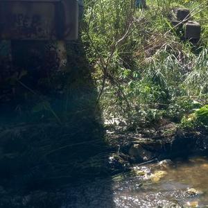 used (feat. Pseudoname)