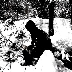 Beer in the Winter Forest