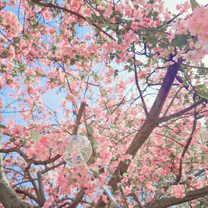 오늘도 수고했어요