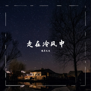 走在冷风中