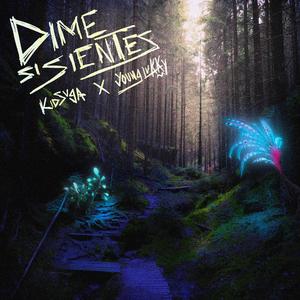 Dime Si Sientes (feat. Young Lukky)