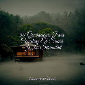 Melodía del Crepúsculo en Ritmo Rapsódico