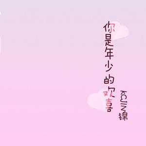 你是年少的欢喜