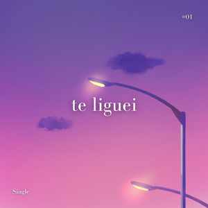 Te liguei