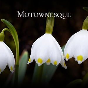 Easy On the Ears Piano