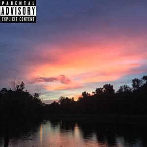 PineapplePurpleskunk