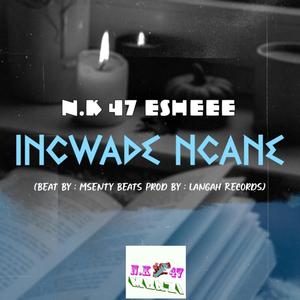 Incwade Ncane (feat. Msenty Beats)