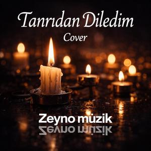 Tanrıdan diledim (cover)