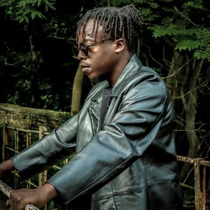 Glenfiddich (Glenfiddichi)