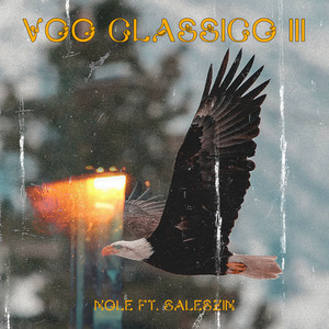 Vôo Clássico 3