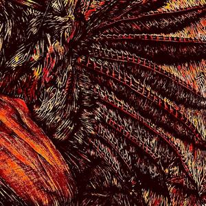 through da firnament