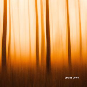Upside Down