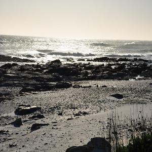The Water