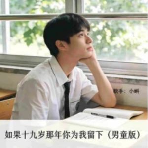 如果十九岁那年你为我留下（男童版）