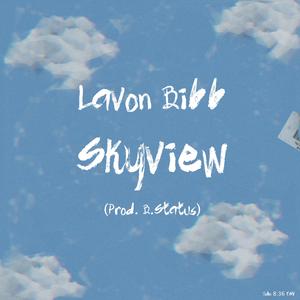 Skyview