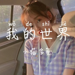 我的世界很大 (DJ舞曲版)