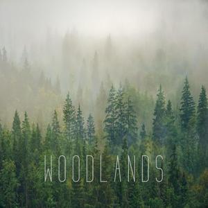 Woodlands