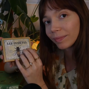Le Ver de l’Oeuf Frit et les Étapes de la Métamorphose