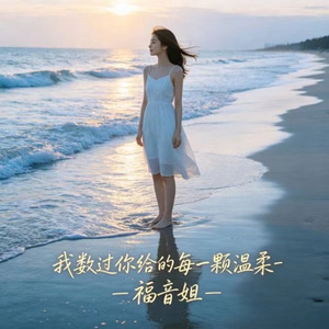 我数过你给的每一颗温柔 (DJ涵涵版)