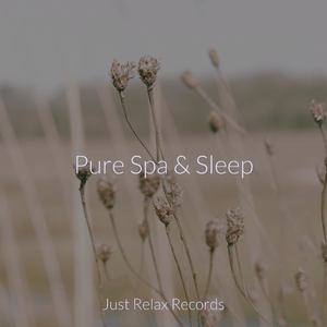 Cosmic Siren's Flight