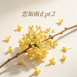 恋如雨止pt2