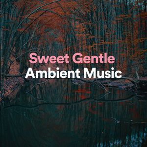 Oecumenical Ambient
